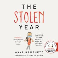 The Stolen Year
