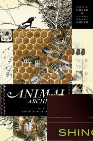 Animal Architects