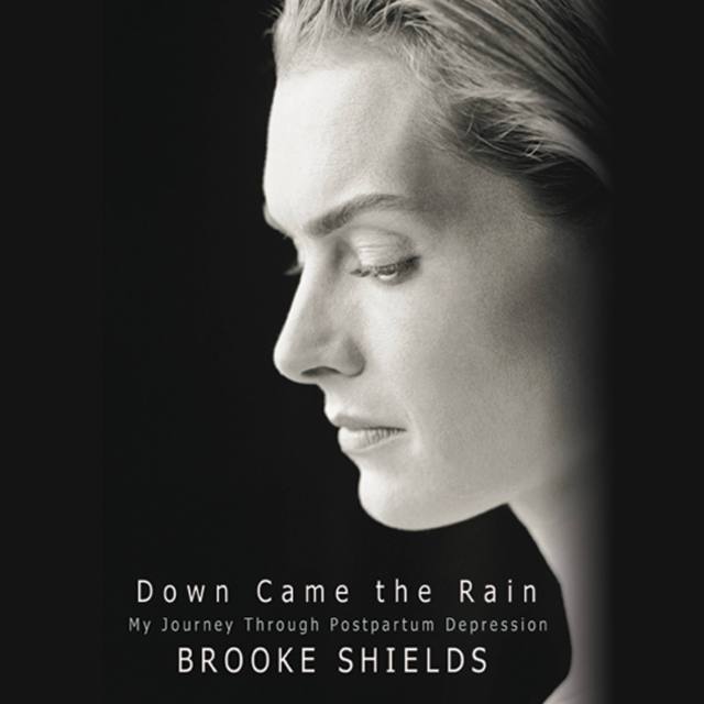Down Came the Rain
