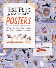Bird Anatomy Posters