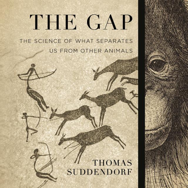 The Gap