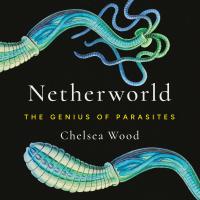 Netherworld